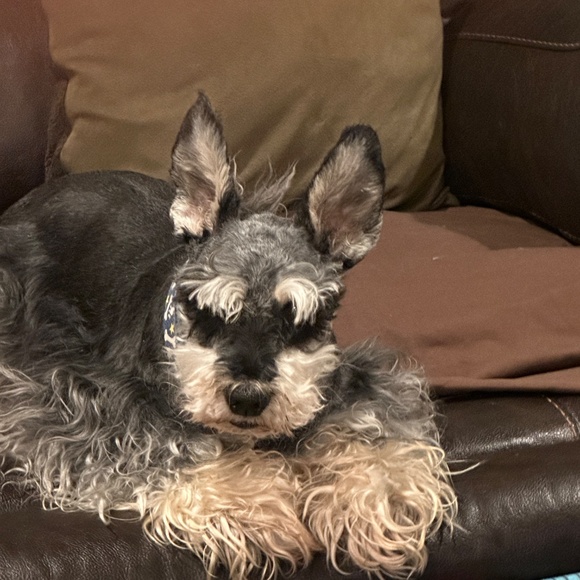 Meet your Posher, MaryJo - Picture 5 of 16